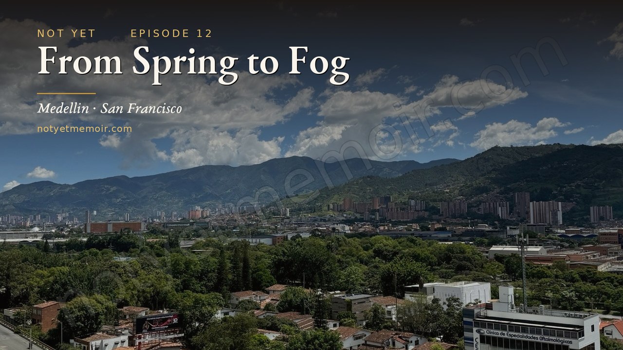 From Spring to Fog