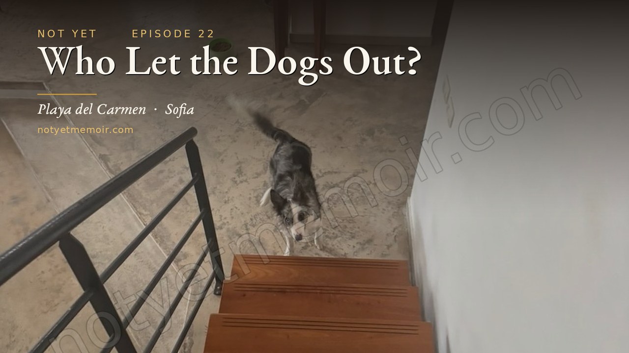 Who Let the Dogs Out?