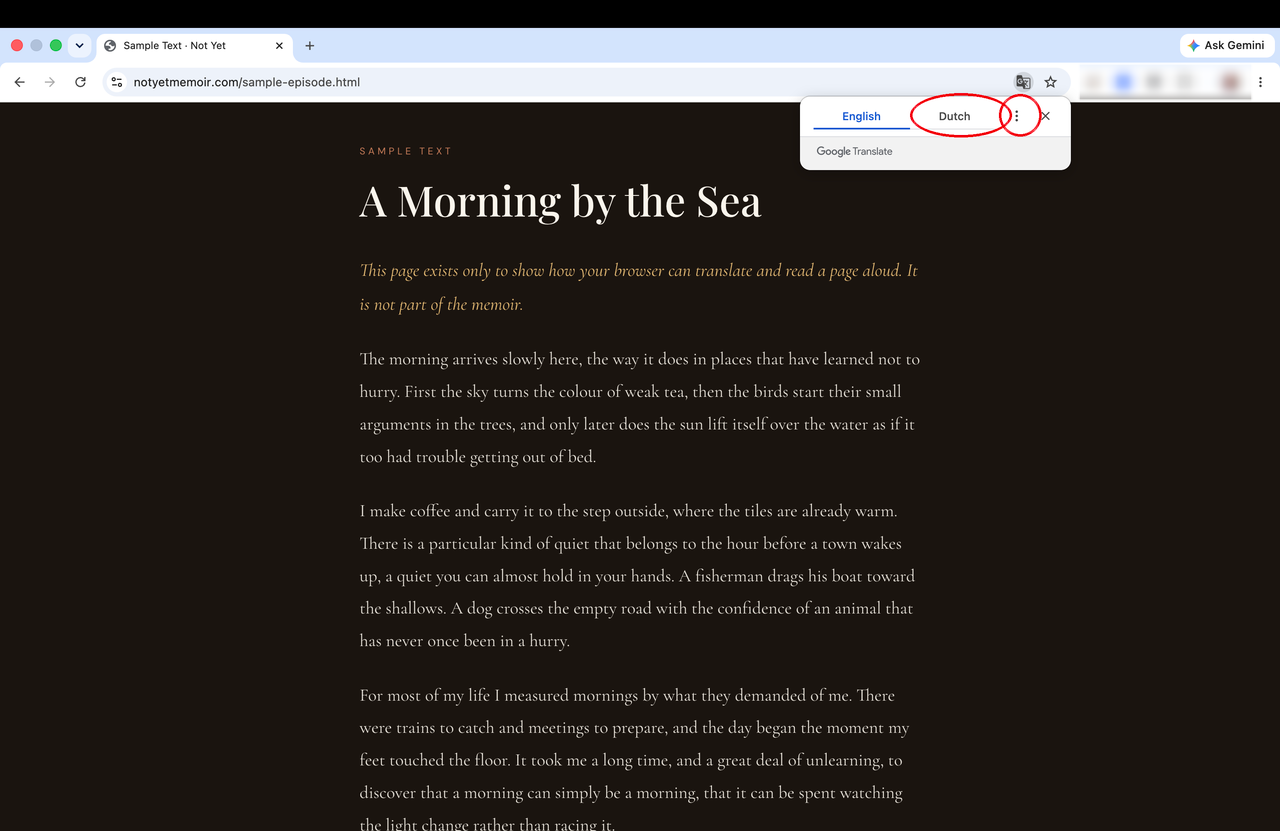 Chrome translate bar with Dutch and the three dots circled in red